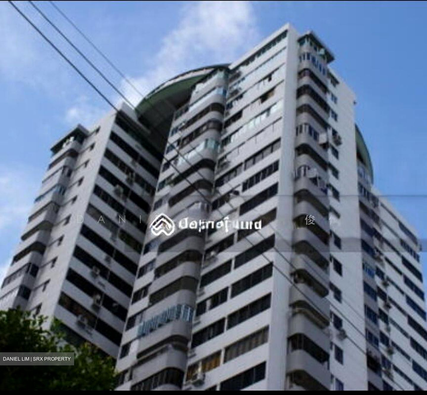 Rajah Tower (D12), Apartment #500712281